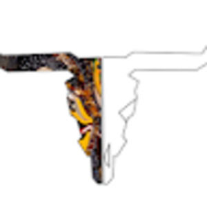 Meet your Posher, Lynn